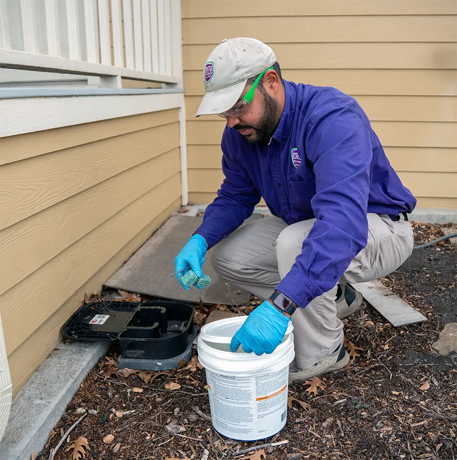 baiting rodent station for rats on the property to protect the structure of entry into the building and manage the population on your property
